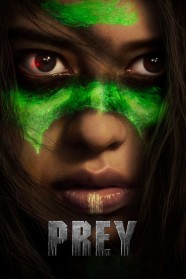 Prey Prey