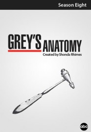 Grey's Anatomy - Season 8